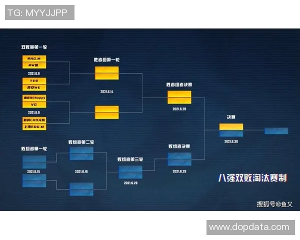 王者荣耀团队协作解析：WE战队的默契与配合之道