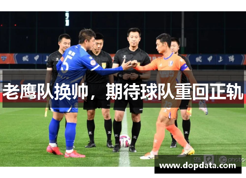 老鹰队换帅，期待球队重回正轨